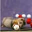 Photo of Ferret Toys