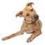 Photo of Home Page