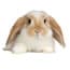 Photo of Rabbit
