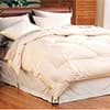 Photo of Cozy Comforters