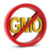 Photo of What is GMO?