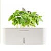 Photo of NEW! Indoor Hydroponic Starter Kit