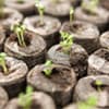 Photo of Seed Starting Soil Pellets
