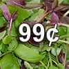 Photo of 99&cent; Sampler Seed Packs