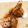 Photo of Pet Toys