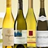 Photo of Chardonnay