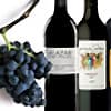 Photo of Merlot