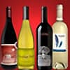 Photo of New Wines