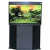 Photo of Fish Aquariums