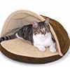 Photo of Cat Beds
