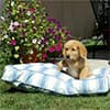 Photo of Dog Beds