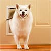 Photo of Pet Doors