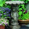 Photo of Bird Baths