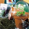 Photo of Garden Supplies