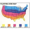 Photo of Planting & Care