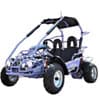 Photo of GoKarts & Off-Road Buggies