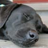 Photo of Home Page