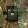 Photo of Photography