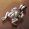 Photo of Frog Jewelry