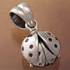 Photo of Ladybug Jewelry