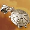 Photo of Turtle Jewelry