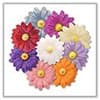 Photo of Gerber Daisy Floating Candles