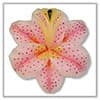 Photo of Tiger Lily Floating Candles