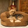 Photo of Dog Beds