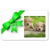 Photo of Gift Certificates