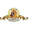 Photo of MGM Limited Edition