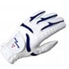 Photo of Gloves