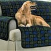 Photo of For the Pet Parent