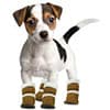 Photo of Pets