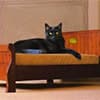 Photo of Cat Beds & Blankets