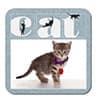 Photo of For Feline Fanatics
