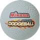 Photo of Balls for All Activities