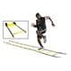 Photo of Fitness & Agility Equipment