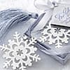 Photo of Winter Decorations