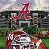 Photo of NCAA Fan Gear