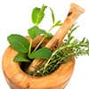 Photo of Herbs