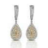Photo of Earrings