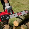 Photo of Electric Chain Saw