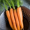 Photo of Carrots