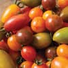 Photo of Vegetables