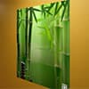 Photo of Removable Custom Wall DÃ©cor