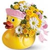 Photo of New  Baby Flowers & Gifts