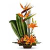 Photo of Corporate Flowers  & Gifts