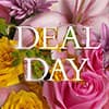 Photo of Deal of the Day