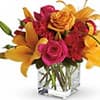 Photo of I'm Sorry Flowers & Gifts