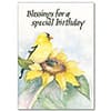 Photo of Birthday Cards